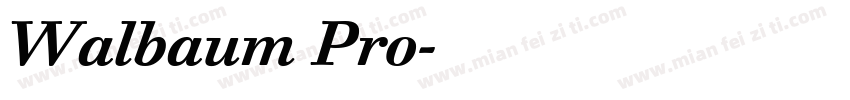 Walbaum Pro字体转换